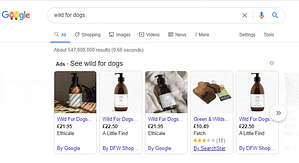 Google Shopping Ads - Demystifying PPC for small business